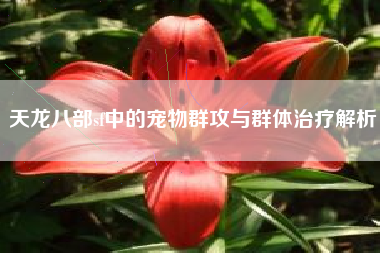 天龙八部sf中的宠物群攻与群体治疗解析