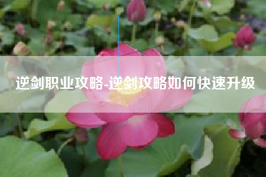 逆剑职业攻略-逆剑攻略如何快速升级