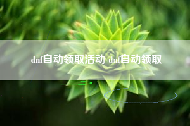 dnf自动领取活动 dnf自动领取