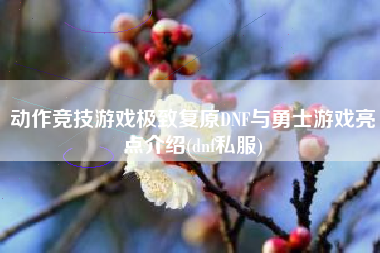 动作竞技游戏极致复原DNF与勇士游戏亮点介绍(dnf私服)