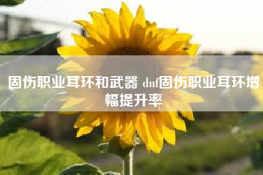 固伤职业耳环和武器 dnf固伤职业耳环增幅提升率