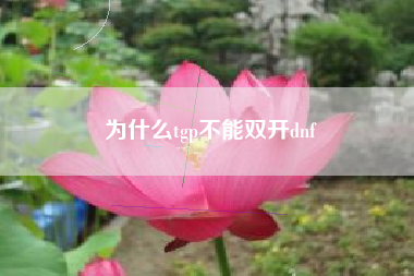 为什么tgp不能双开dnf