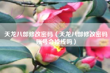 天龙八部修改密码（天龙八部修改密码账号会掉线吗）