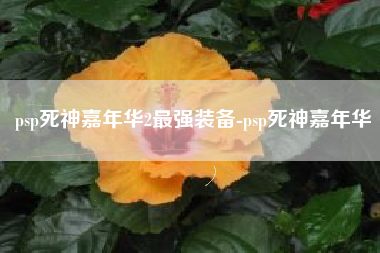 psp死神嘉年华2最强装备-psp死神嘉年华