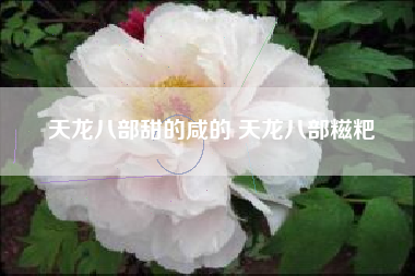 天龙八部甜的咸的 天龙八部糍粑