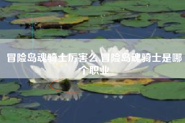 冒险岛魂骑士厉害么,冒险岛魂骑士是哪个职业