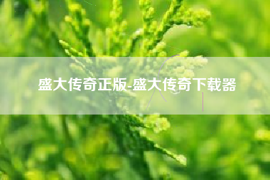 盛大传奇正版-盛大传奇下载器
