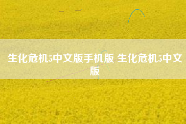 生化危机5中文版手机版 生化危机5中文版