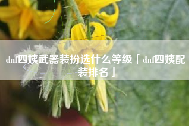 dnf四姨武器装扮选什么等级「dnf四姨配装排名」