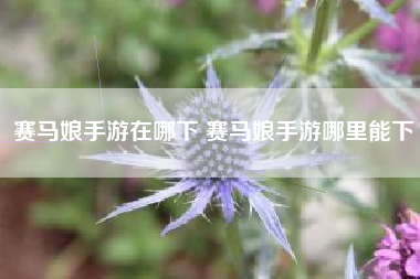赛马娘手游在哪下 赛马娘手游哪里能下