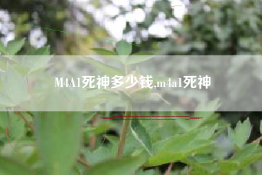 M4A1死神多少钱,m4a1死神