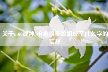 关于m60战神8枪身的花纹组成了什么字的信息