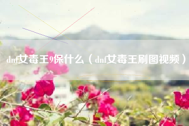 dnf女毒王9保什么（dnf女毒王刷图视频）