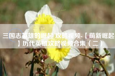 三国志英雄的崛起 攻略视频-【萌新崛起】历代英雄攻略视频合集（二）