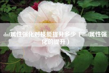 dnf属性强化对技能提升多少（dnf属性强化的提升）