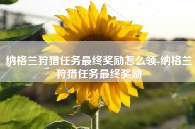 纳格兰狩猎任务最终奖励怎么领-纳格兰狩猎任务最终奖励