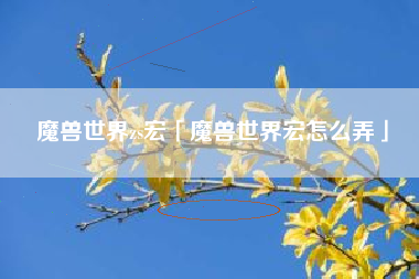 魔兽世界zs宏「魔兽世界宏怎么弄」