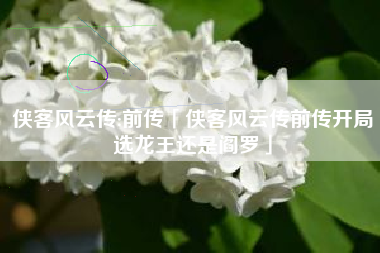 侠客风云传:前传「侠客风云传前传开局选龙王还是阎罗」