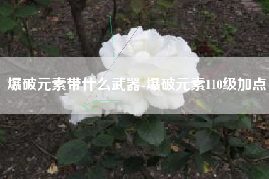 爆破元素带什么武器-爆破元素110级加点