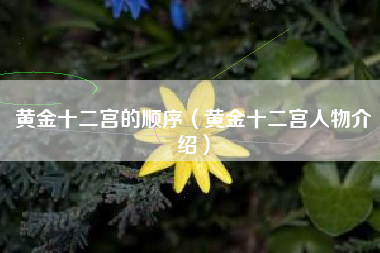黄金十二宫的顺序（黄金十二宫人物介绍）