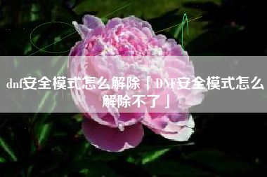 dnf安全模式怎么解除「DNF安全模式怎么解除不了」
