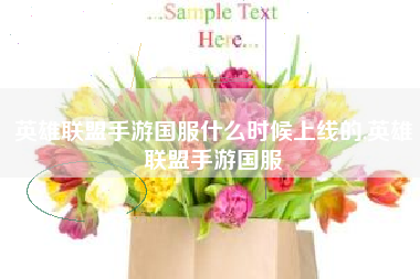 英雄联盟手游国服什么时候上线的,英雄联盟手游国服