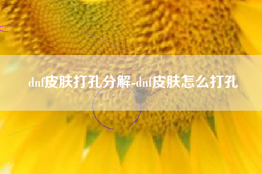 dnf皮肤打孔分解-dnf皮肤怎么打孔