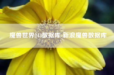 魔兽世界243数据库-新浪魔兽数据库