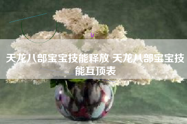 天龙八部宝宝技能释放 天龙八部宝宝技能互顶表