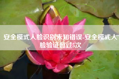 安全模式人脸识别未知错误-安全模式人脸验证超过5次