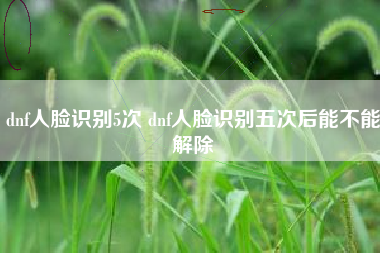 dnf人脸识别5次 dnf人脸识别五次后能不能解除