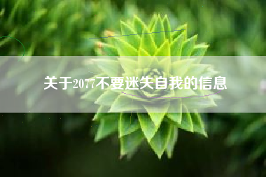 关于2077不要迷失自我的信息