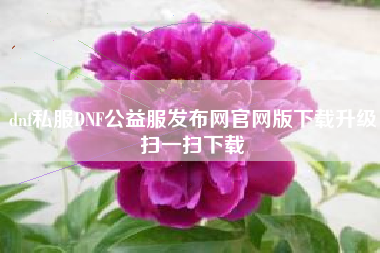 dnf私服DNF公益服发布网官网版下载升级扫一扫下载