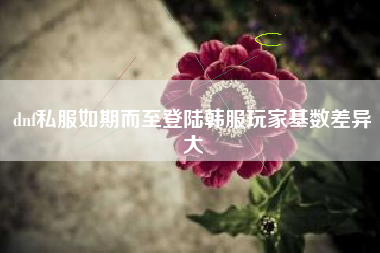 dnf私服如期而至登陆韩服玩家基数差异大