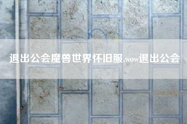退出公会魔兽世界怀旧服,wow退出公会