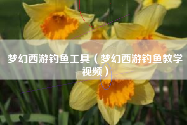 梦幻西游钓鱼工具（梦幻西游钓鱼教学视频）