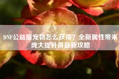 DNF公益服宠物怎么获得？全新属性带来庞大提升得最新攻略