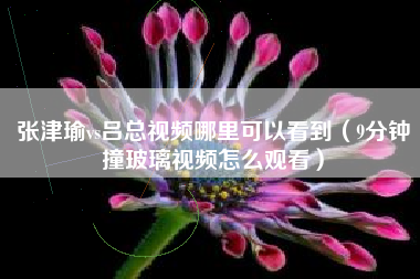 张津瑜vs吕总视频哪里可以看到（9分钟撞玻璃视频怎么观看）