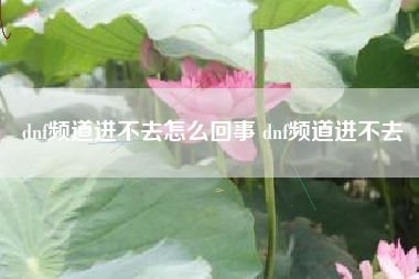dnf频道进不去怎么回事 dnf频道进不去