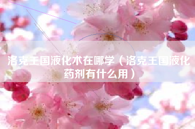 洛克王国液化术在哪学（洛克王国液化药剂有什么用）