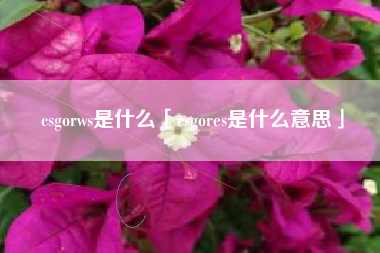 csgorws是什么「csgores是什么意思」