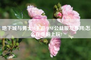 地下城与勇士M手游(DNF公益服发布网)怎么在电脑上玩?