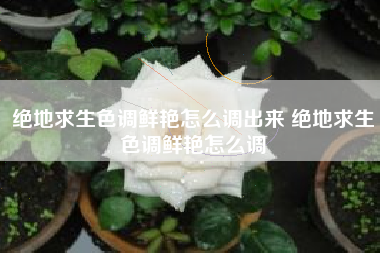 绝地求生色调鲜艳怎么调出来 绝地求生色调鲜艳怎么调