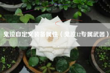 鬼泣自定义装备属性（鬼泣12专属武器）