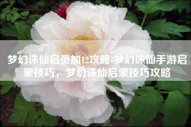 梦幻诛仙启灵加12攻略-梦幻诛仙手游启蒙技巧，梦幻诛仙启蒙技巧攻略