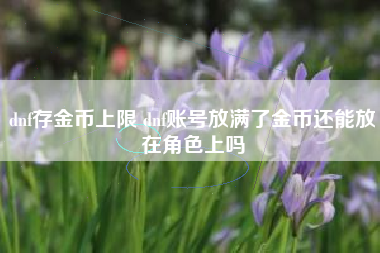 dnf存金币上限 dnf账号放满了金币还能放在角色上吗