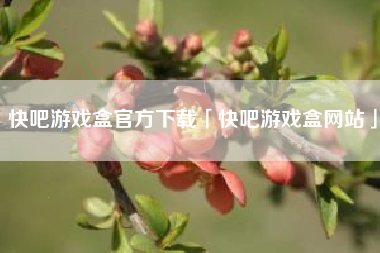 快吧游戏盒官方下载「快吧游戏盒网站」