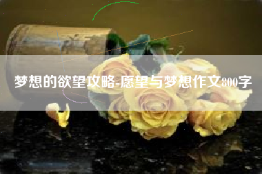 梦想的欲望攻略-愿望与梦想作文800字
