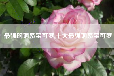 最强的钢系宝可梦,十大最强钢系宝可梦