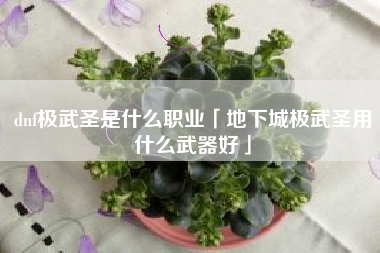 dnf极武圣是什么职业「地下城极武圣用什么武器好」